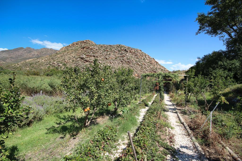Villa Kogman & Keisie Guest Farm Montagu Esterno foto